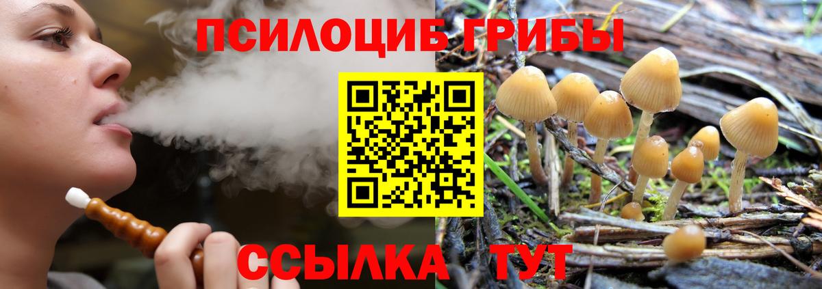Галлюциногенные грибы прущие грибы Звенигород